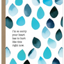 raindrops